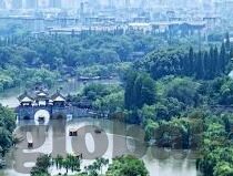 2017年伦理片免费观看-2017年伦理片，一场视觉与思考的盛宴