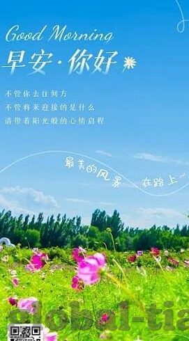 四虎影视一区二区精品-四虎影视一区二区精品，网络影视的多元化探索与观众体验的深度剖析